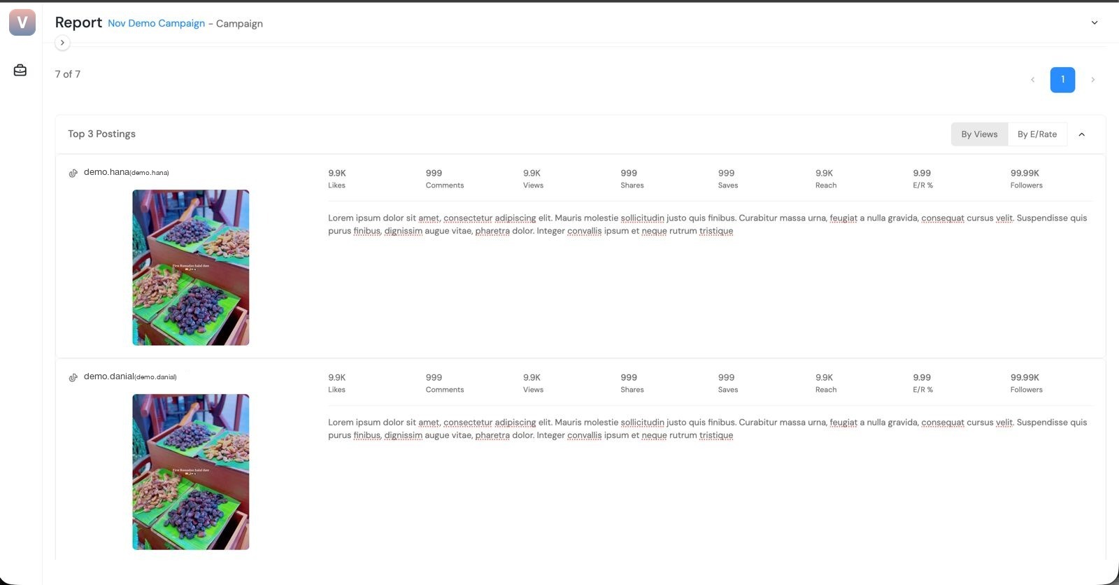 ViaCRM campaign report with views, engagement and cost per view